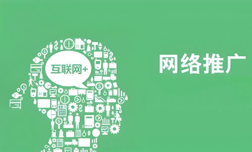 互聯網推廣中的網絡文化經營 策略與實踐